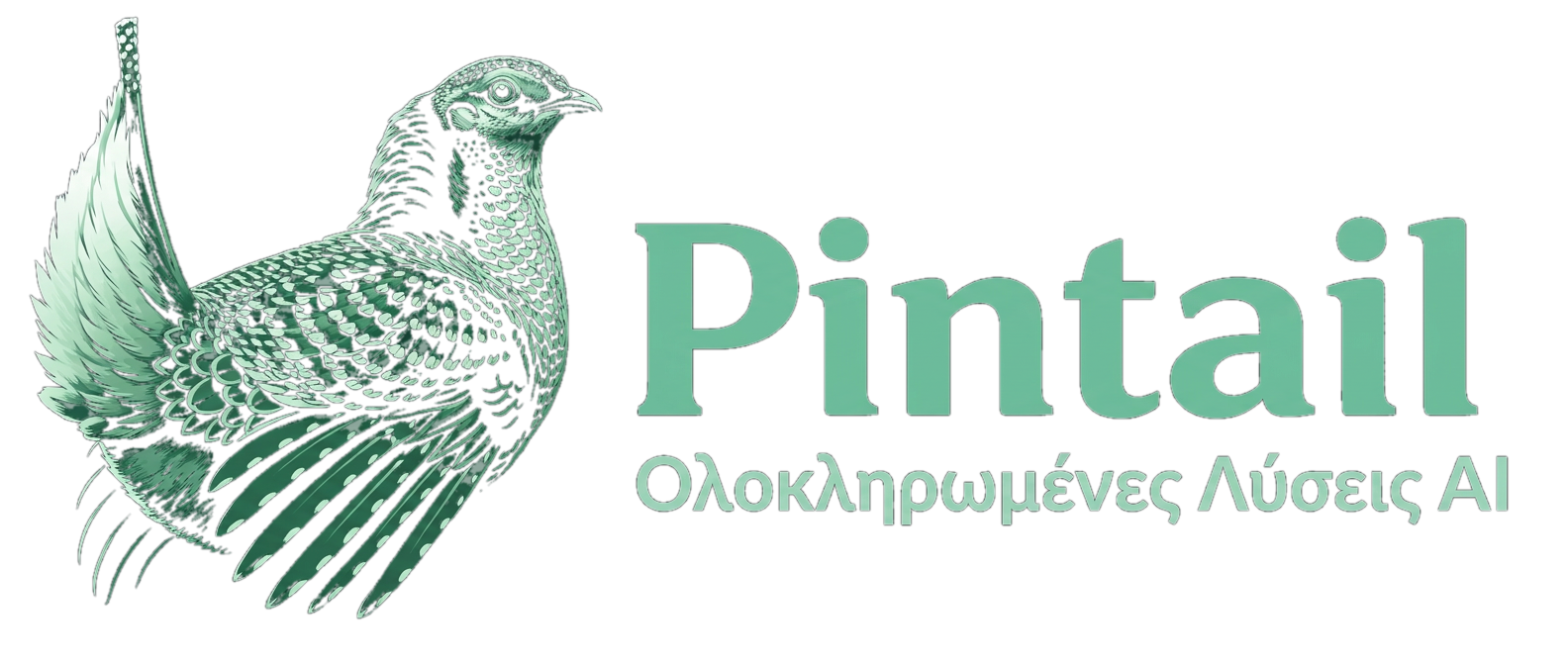 Pintail - Ολοκληρωμένες Λύσεις AI