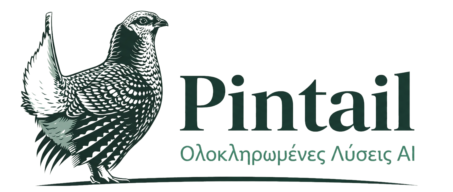 Pintail - Ολοκληρωμένες Λύσεις AI